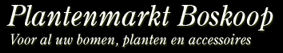 Plantenmarkt Boskoop